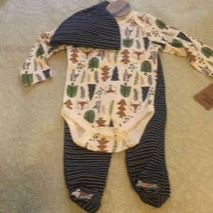 Chick Pea Fox 3 piece set 6-9 mos.